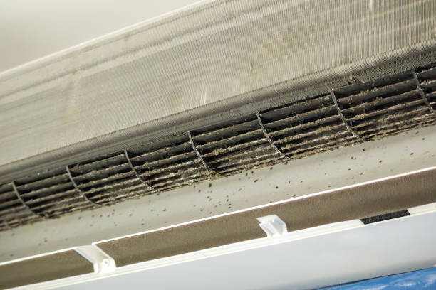 Best HVAC Air Duct Cleaning  in Long Lake, IL